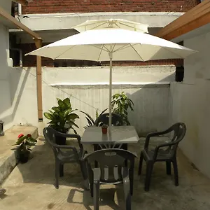 Kame House Seoul